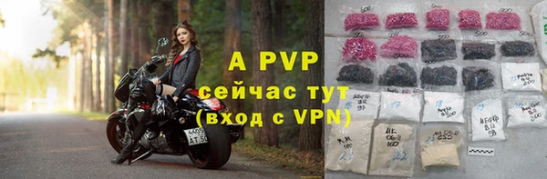 стафф Дмитровск