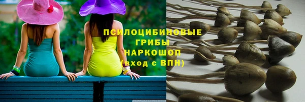 стафф Дмитровск