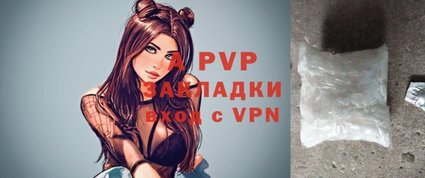 стафф Дмитровск